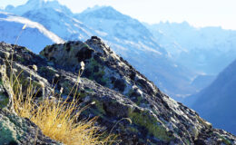 001 - es passt alles